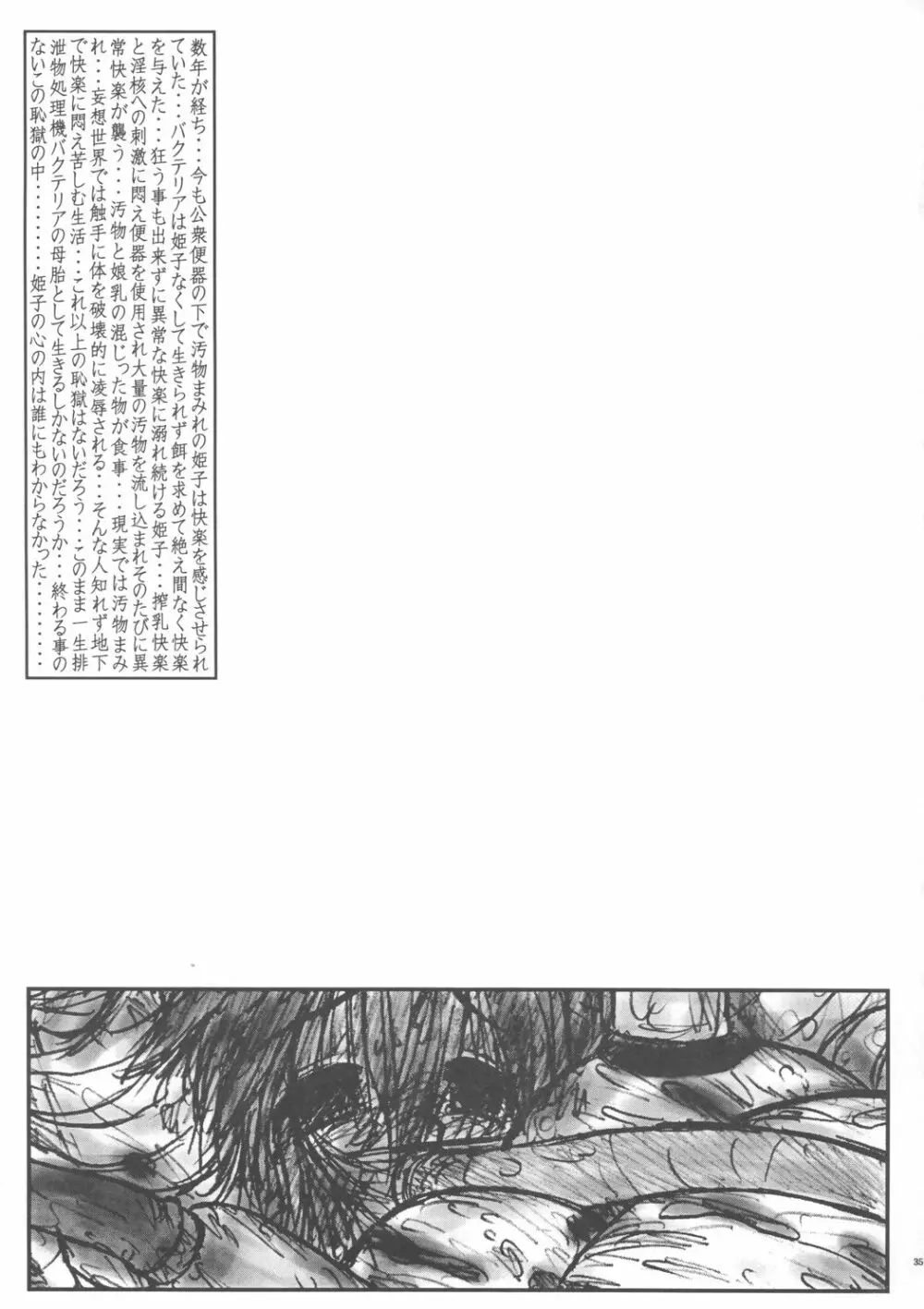 姫ぷち Page.34