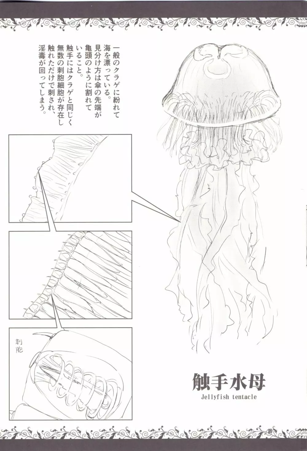 触手図鑑 Page.10