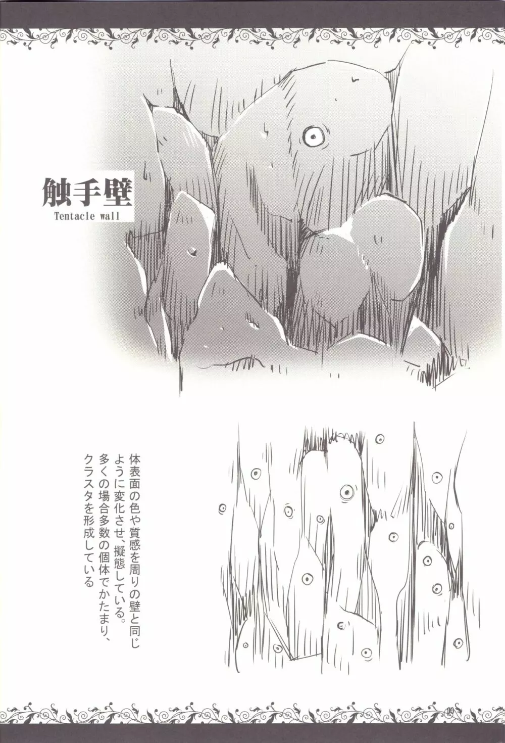 触手図鑑 Page.12