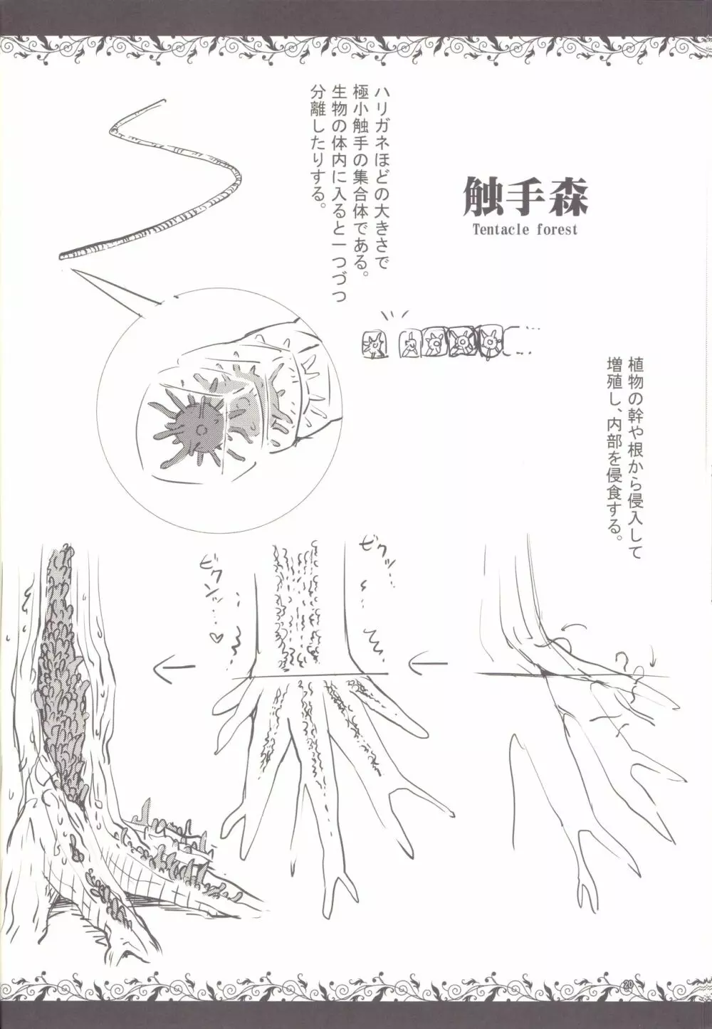 触手図鑑 Page.18