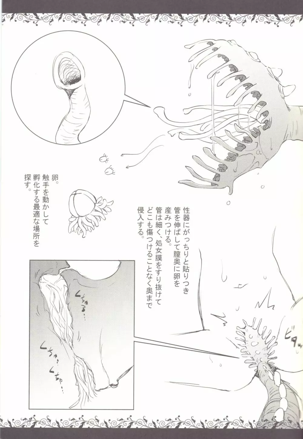 触手図鑑 Page.5