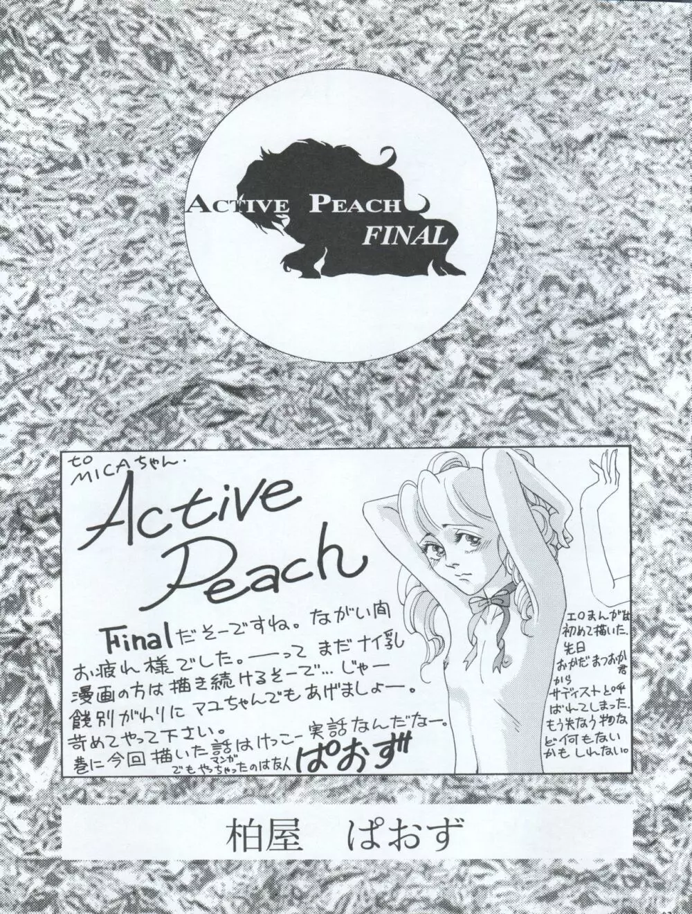 ACTIVE PEACH FINAL Page.43