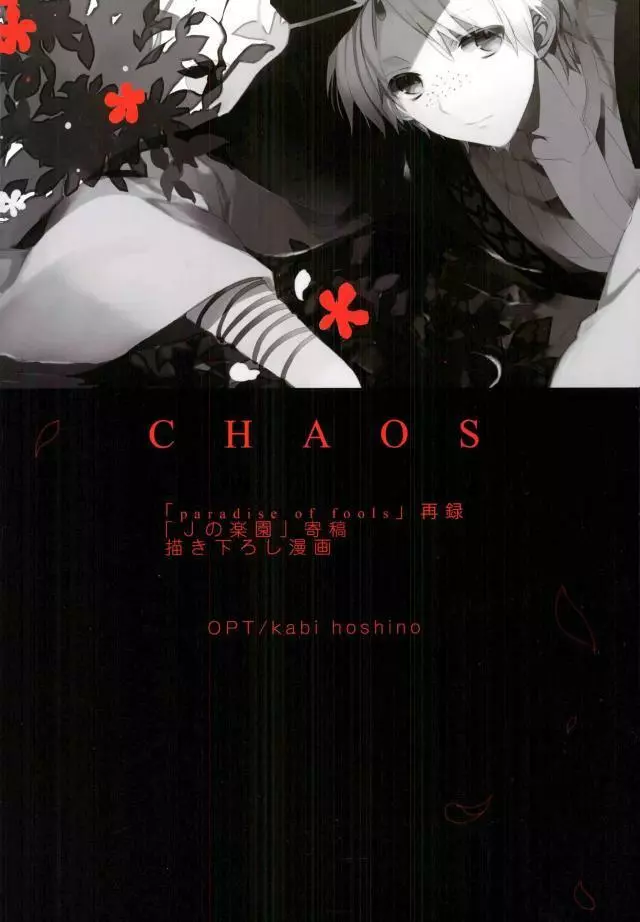 Chaos Page.45