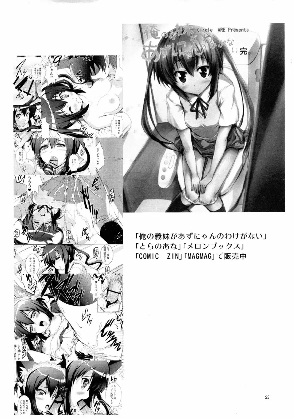 電波とスマキと親子丼ブリ Page.23