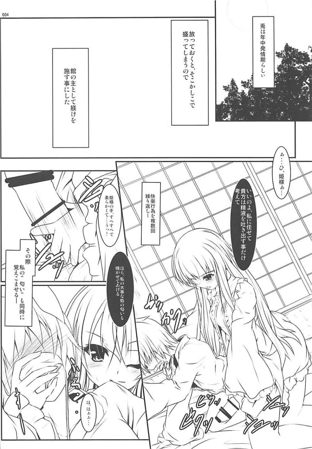 姫様式 兎ノ躾 Page.3