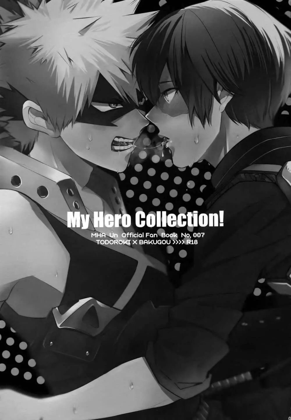 My Hero Collection! Page.2