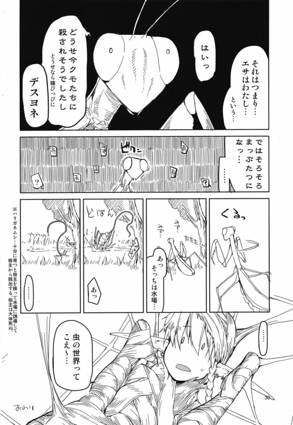 ドスケベエルフの異種姦日記 5 Page.32