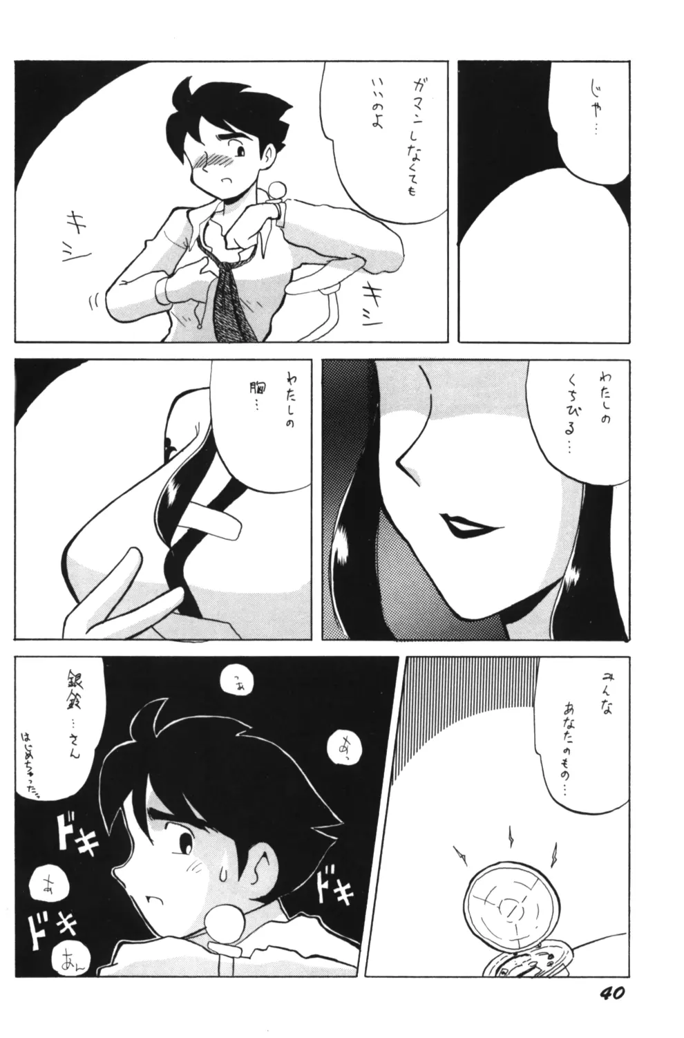 Ginrei Special GR-H Page.40