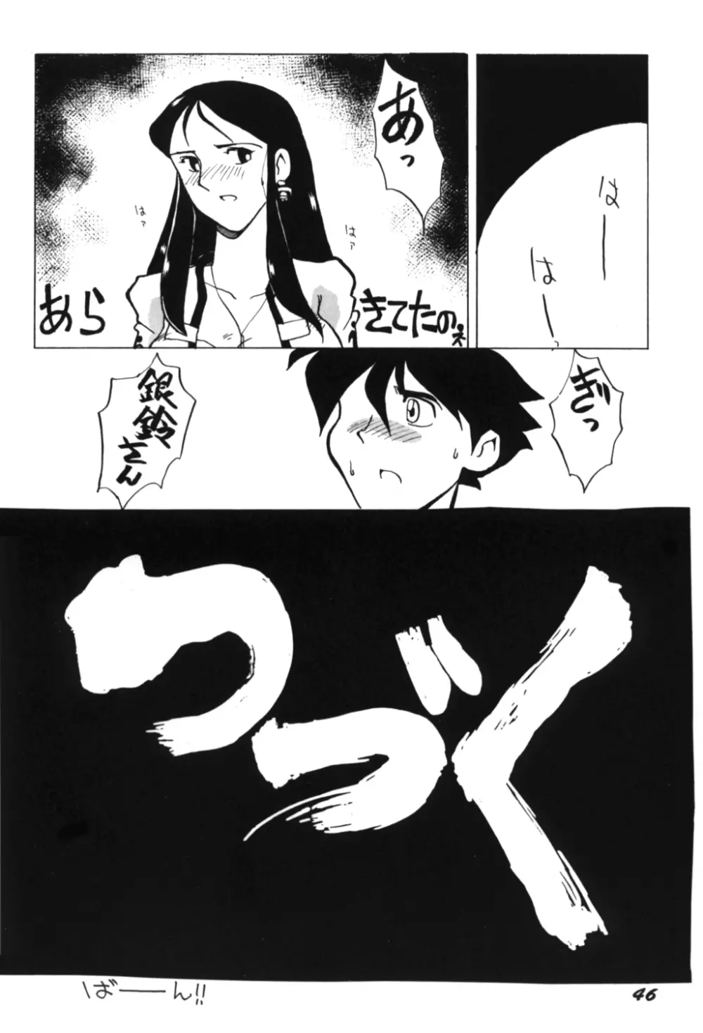 Ginrei Special GR-H Page.46