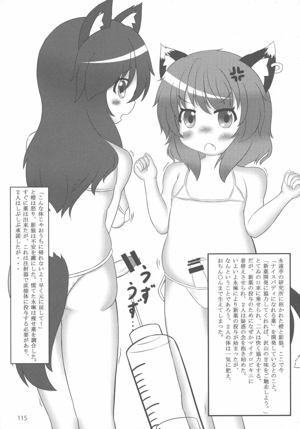 東方おにく合同 参 Page.114