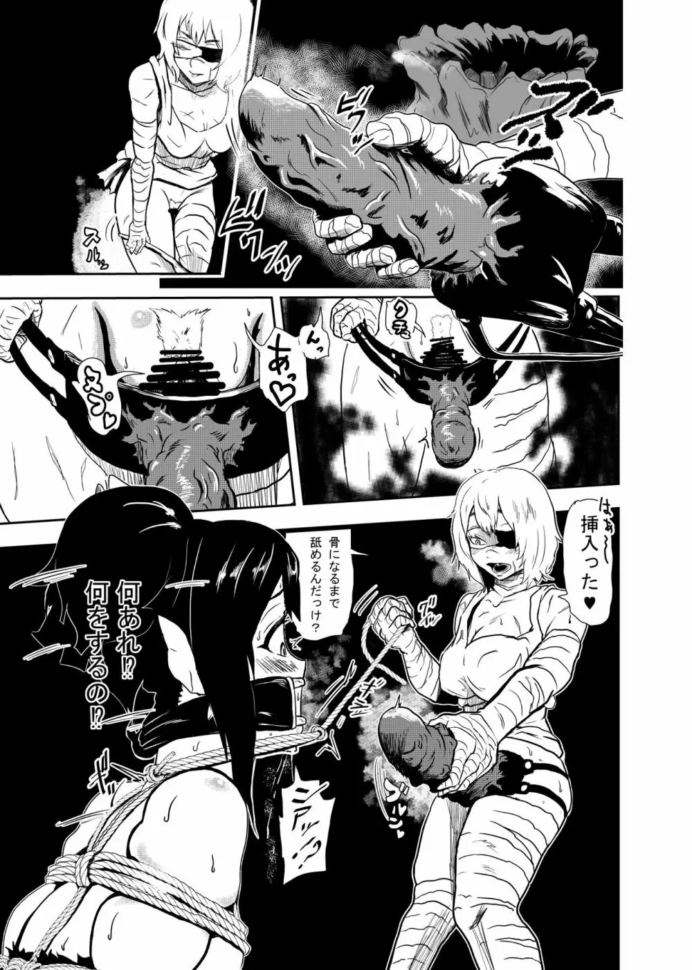 ヴァンパレイド2 ～吸血鬼 三姉妹 捕縛編～ Page.13