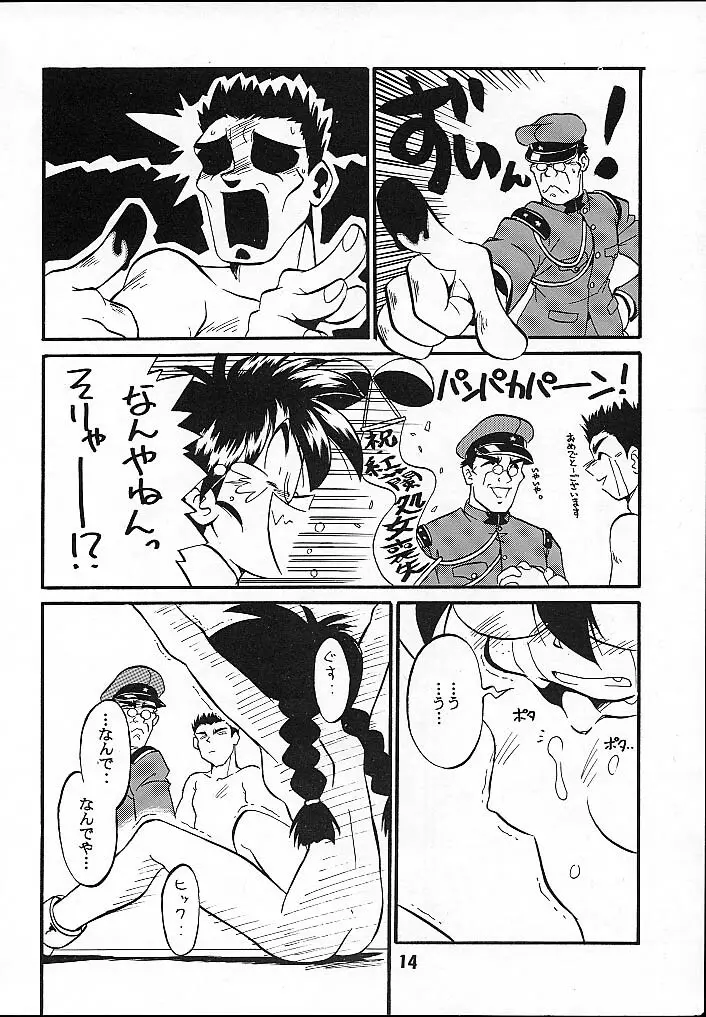Seikoku Kagekidan Page.13