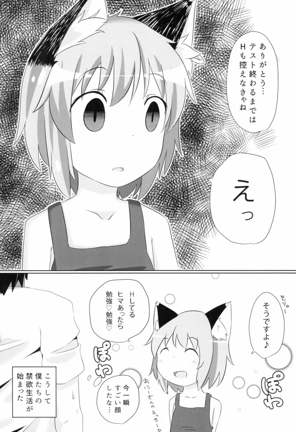 こねこのしんこん Page.13