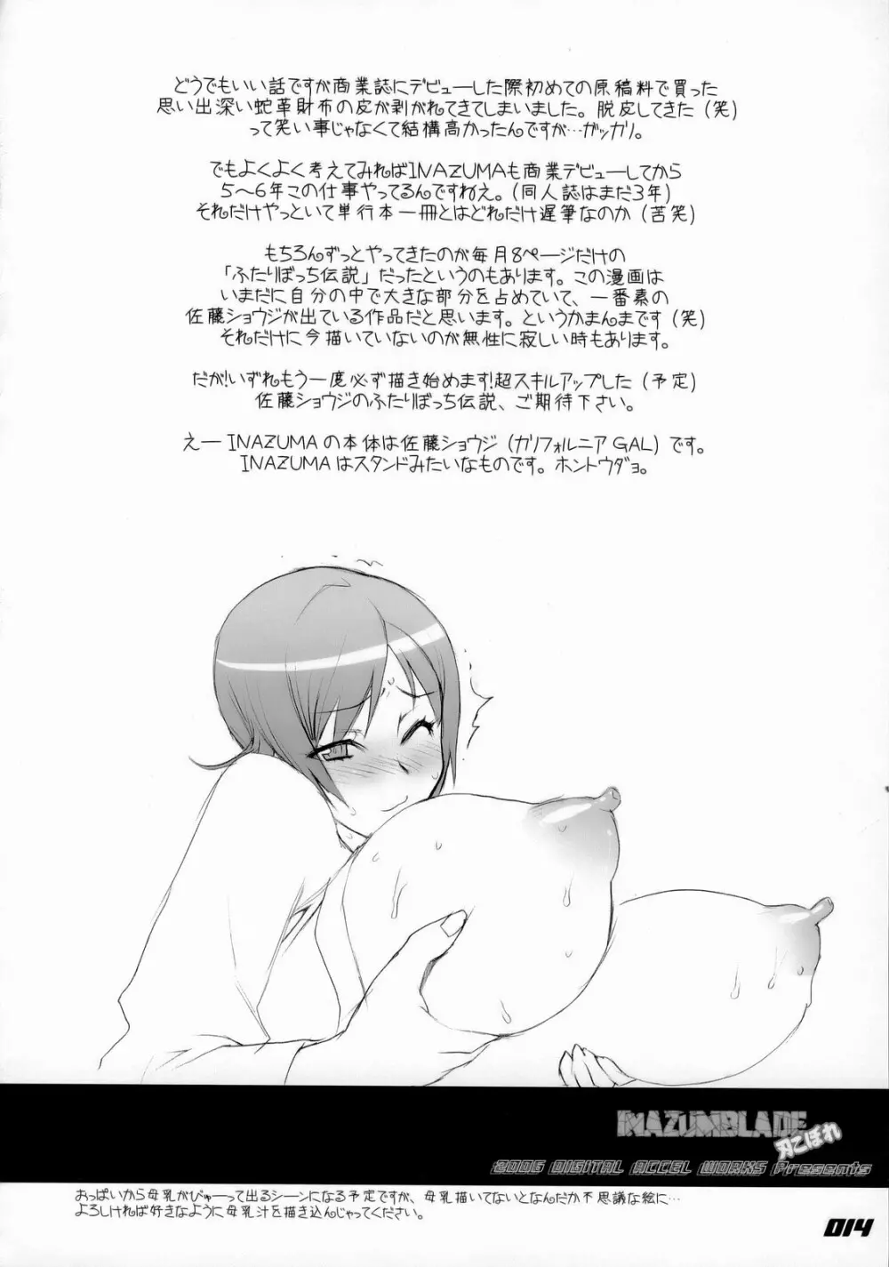 INAZUMA BLADE 刃こぼれ Page.13