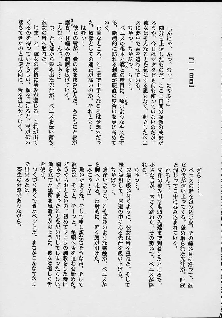 ファンシア育成日記 Page.31