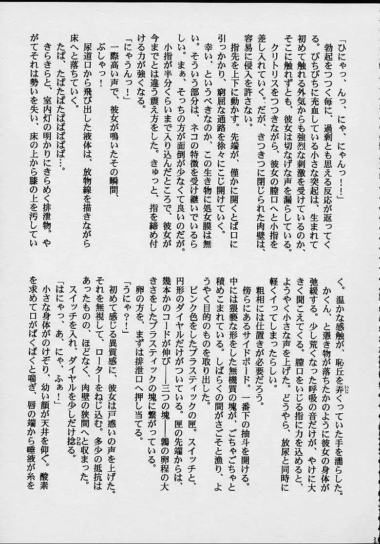 ファンシア育成日記 Page.35