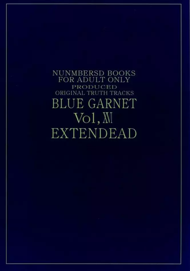 BLUE GARNET ⅩⅥ EXTENDEAD Page.41