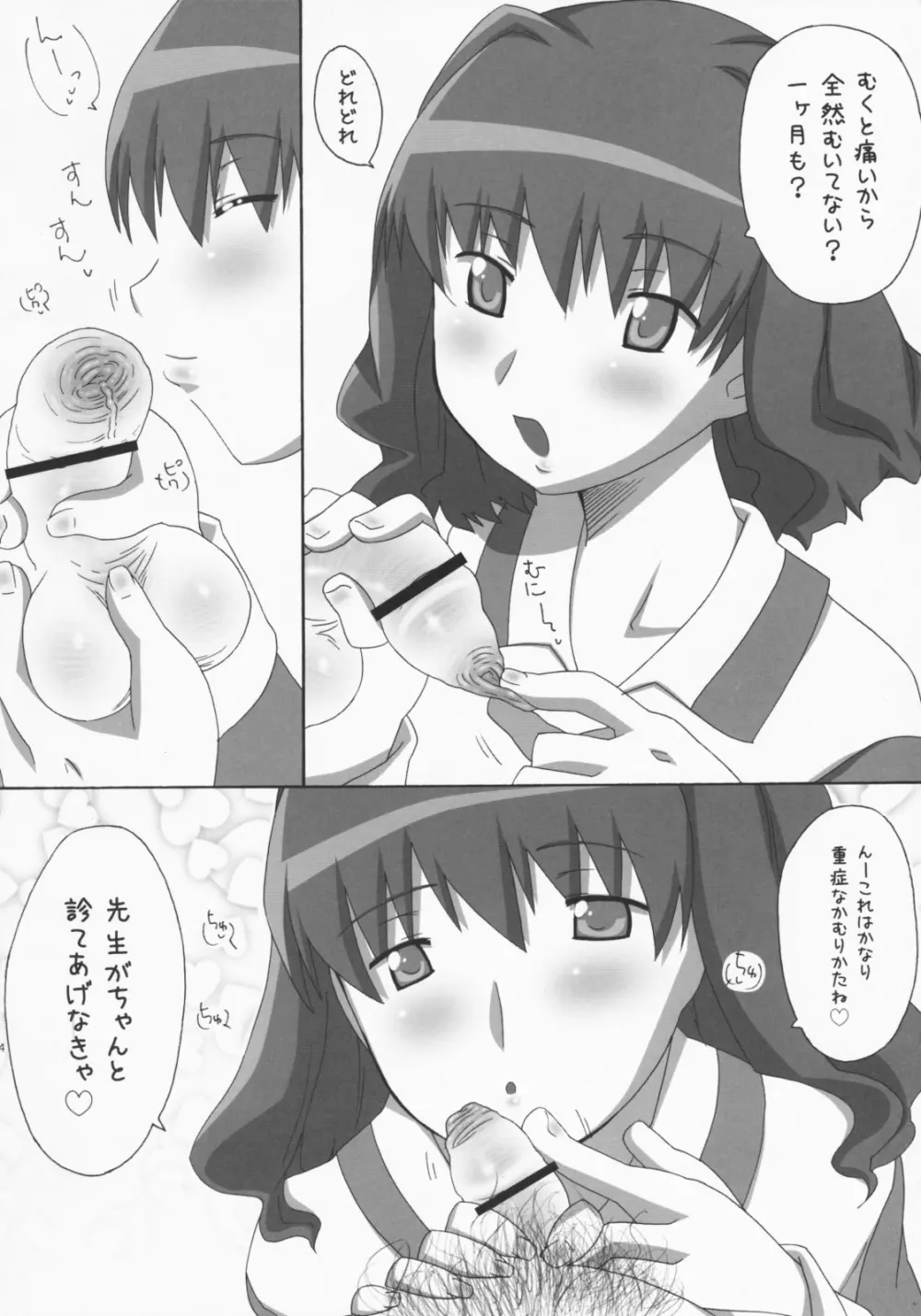 SiSTER Page.13