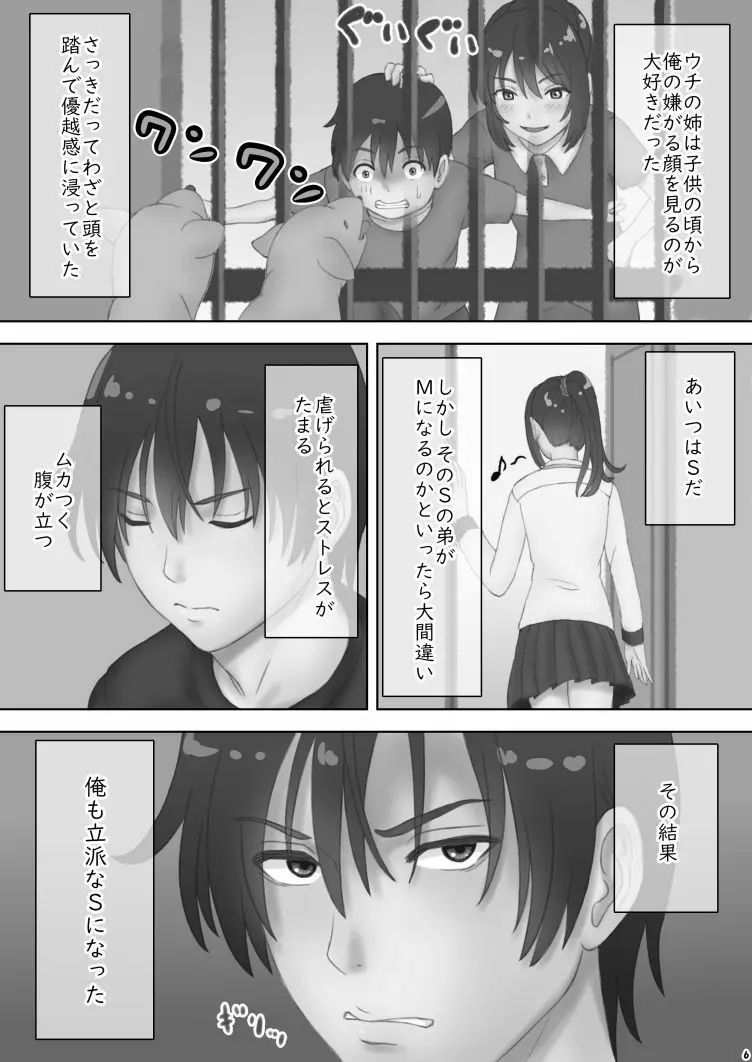 さあ、Ｓな姉をしつけてやろう Page.6