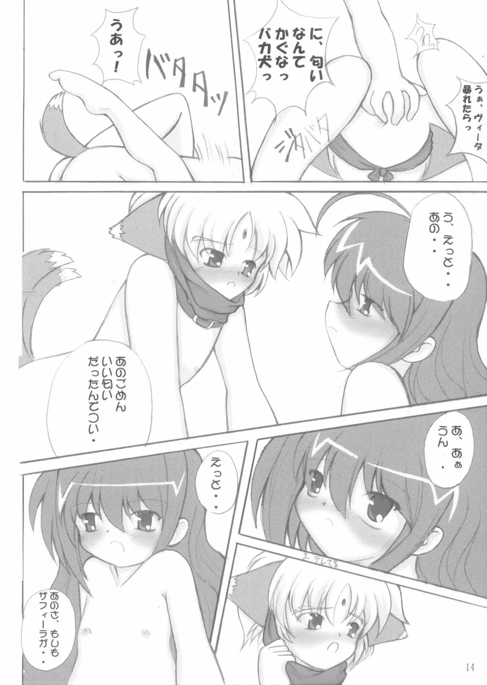 子犬座の協奏曲 Page.13