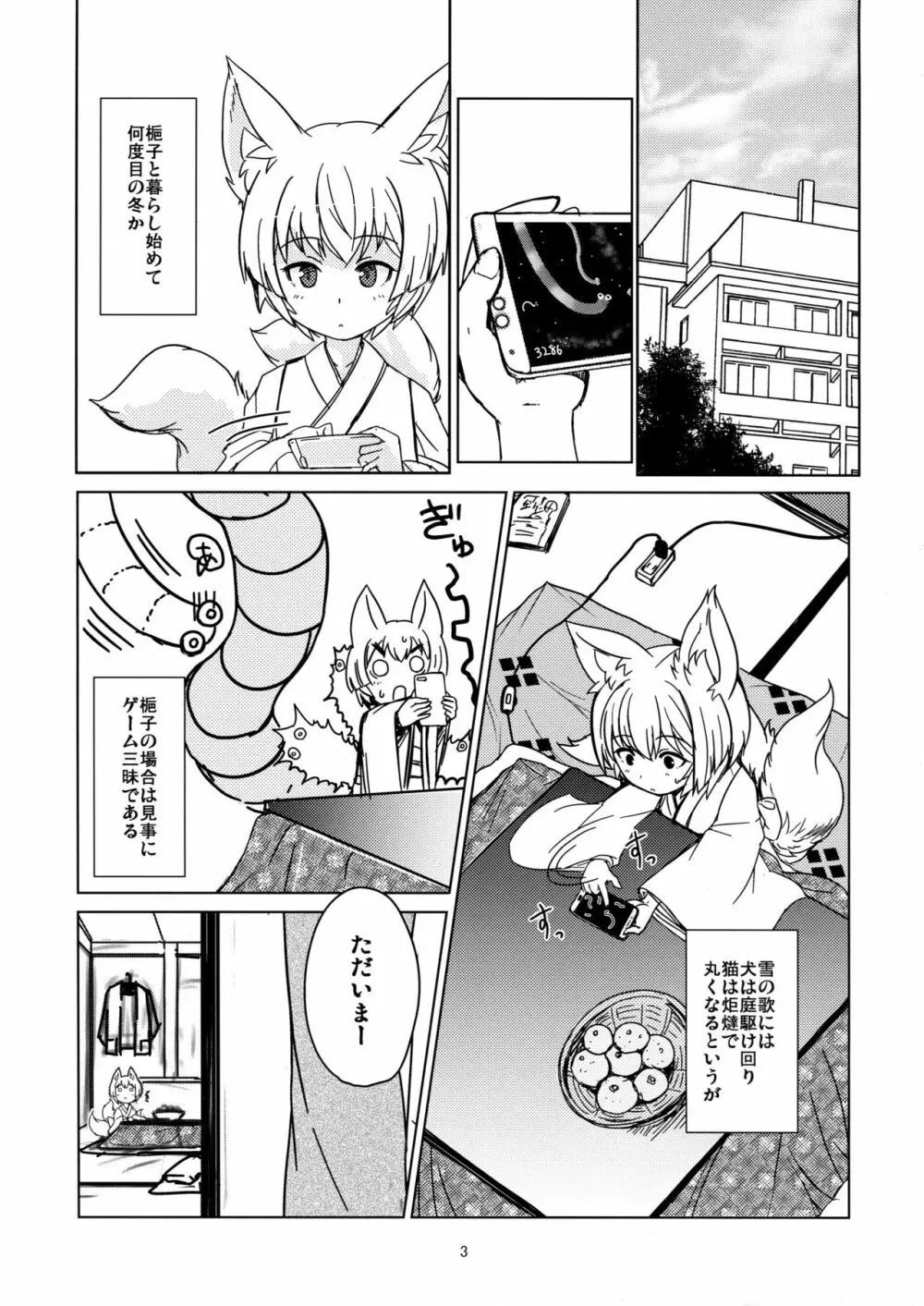 白狐の杜其の拾壱 Page.3