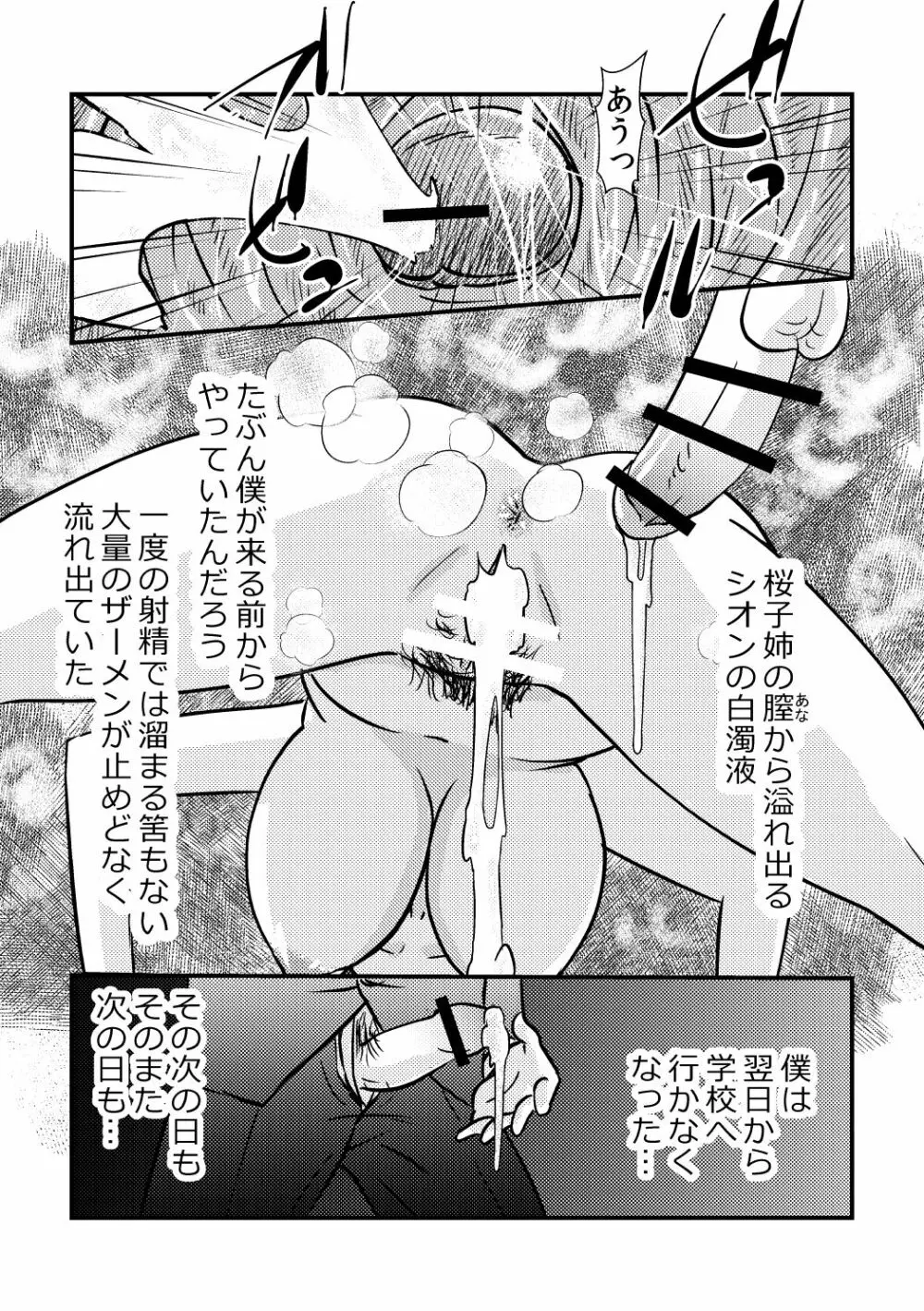 桜子姉 Page.29