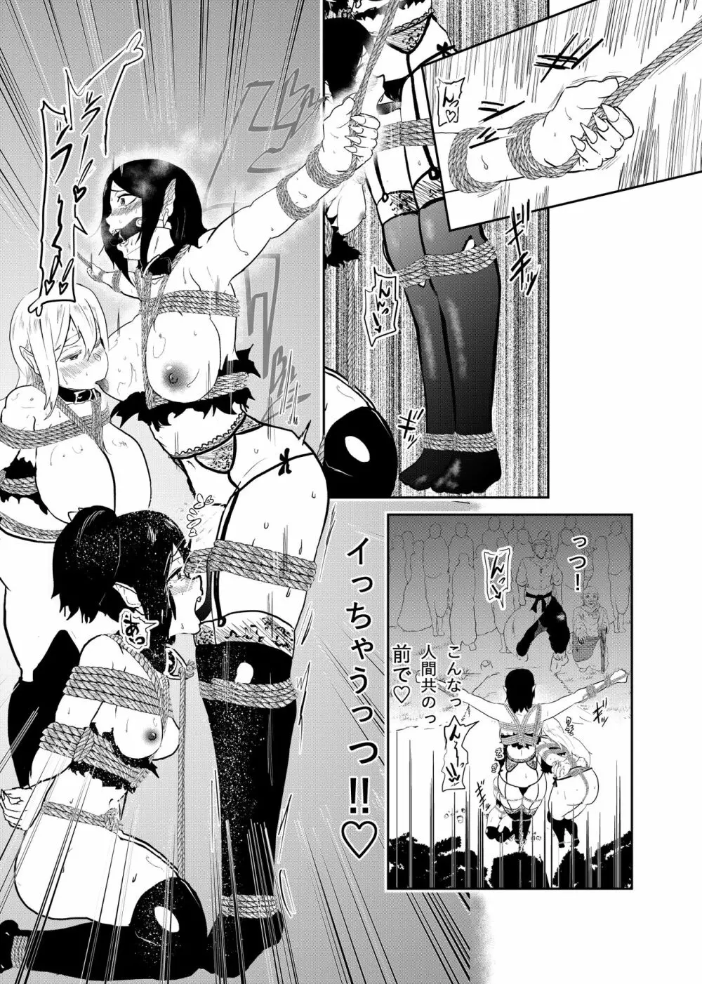 ヴァンパレイド5 ～吸血鬼 三姉妹 捕縛編～ Page.14