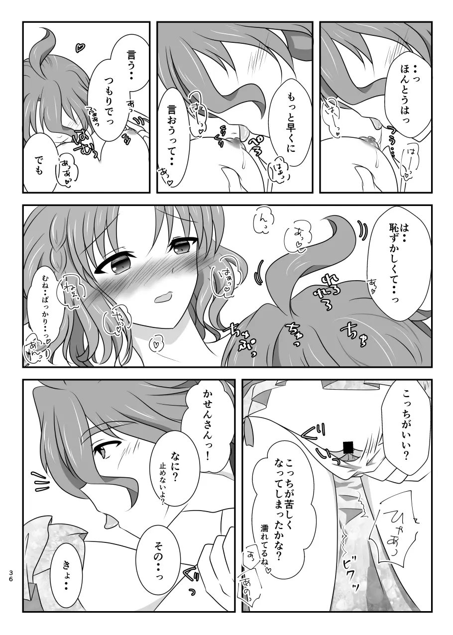 星花の万華鏡 Page.36