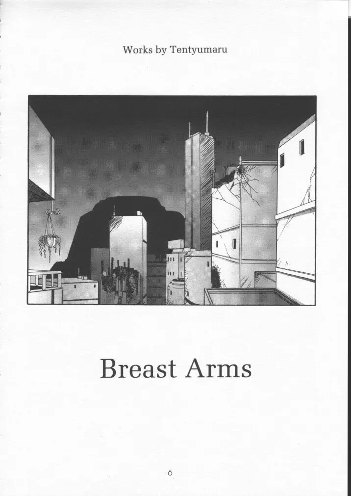 BREAST ARMS Page.4
