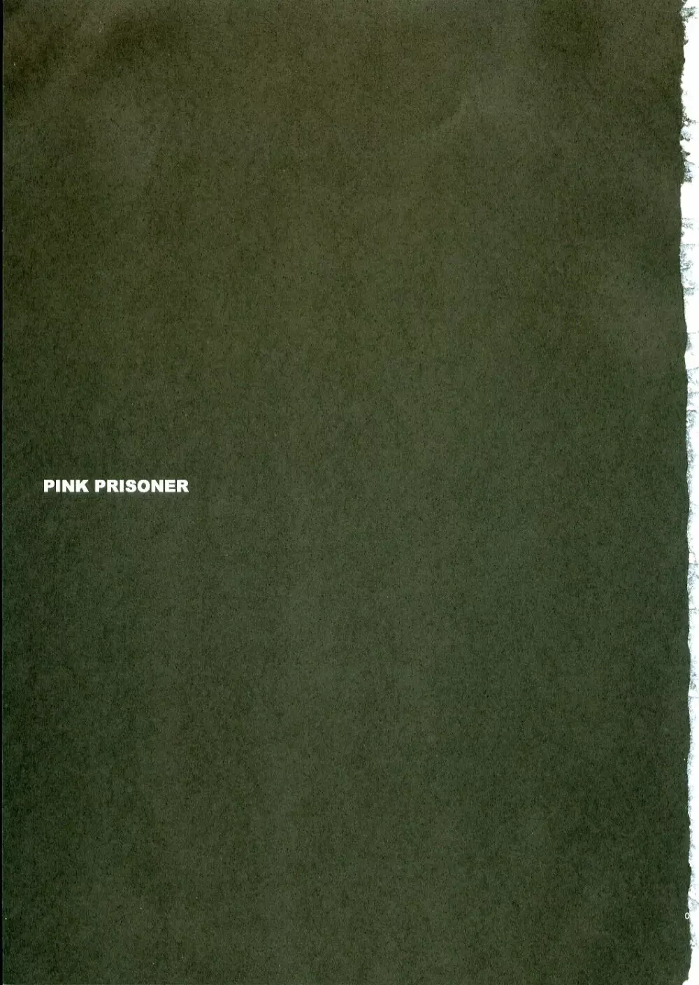 PINK PRISONER Page.2