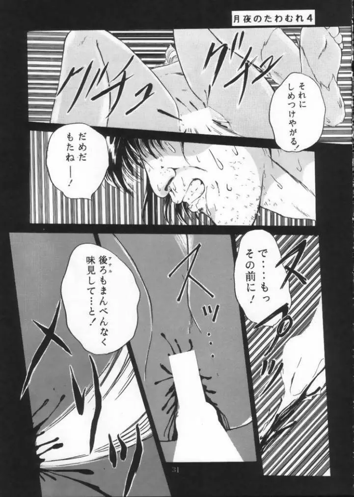 月夜のたわむれ Vol.4 Page.29