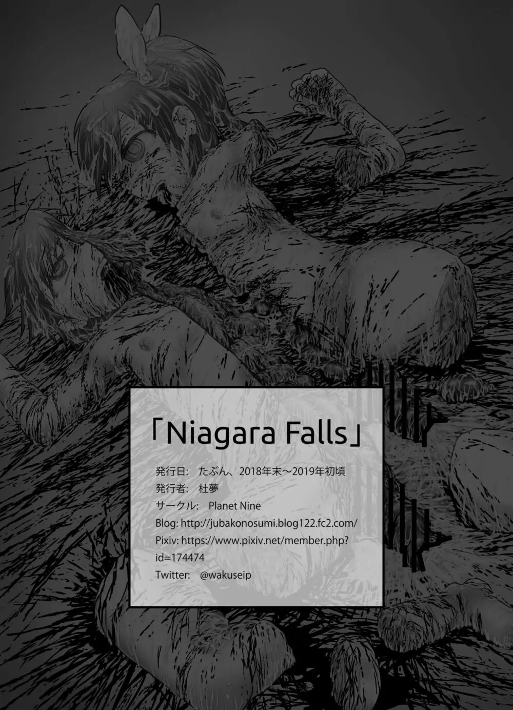 Niagara Falls Page.14