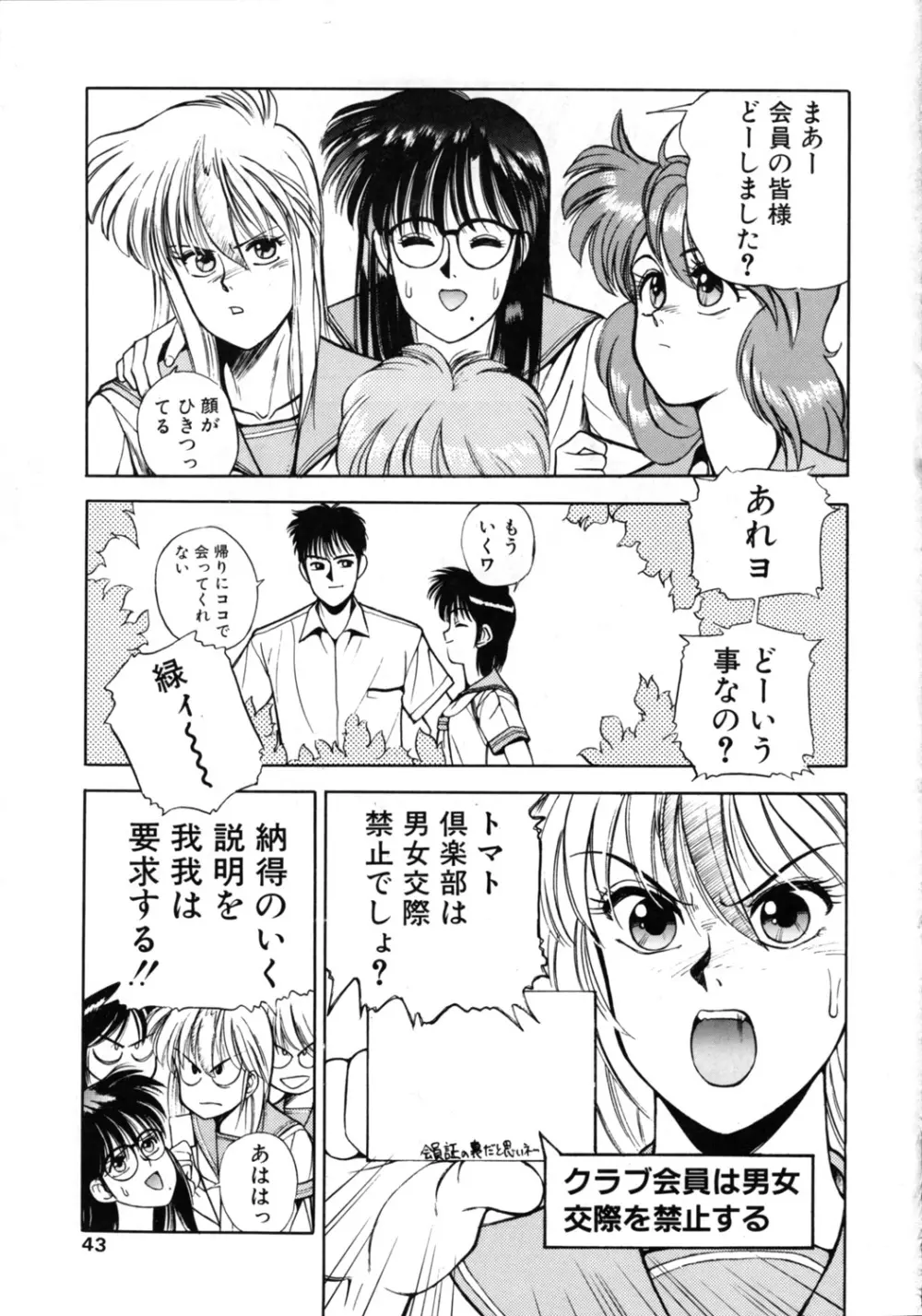 こみっくぴか Vol.7 Page.42