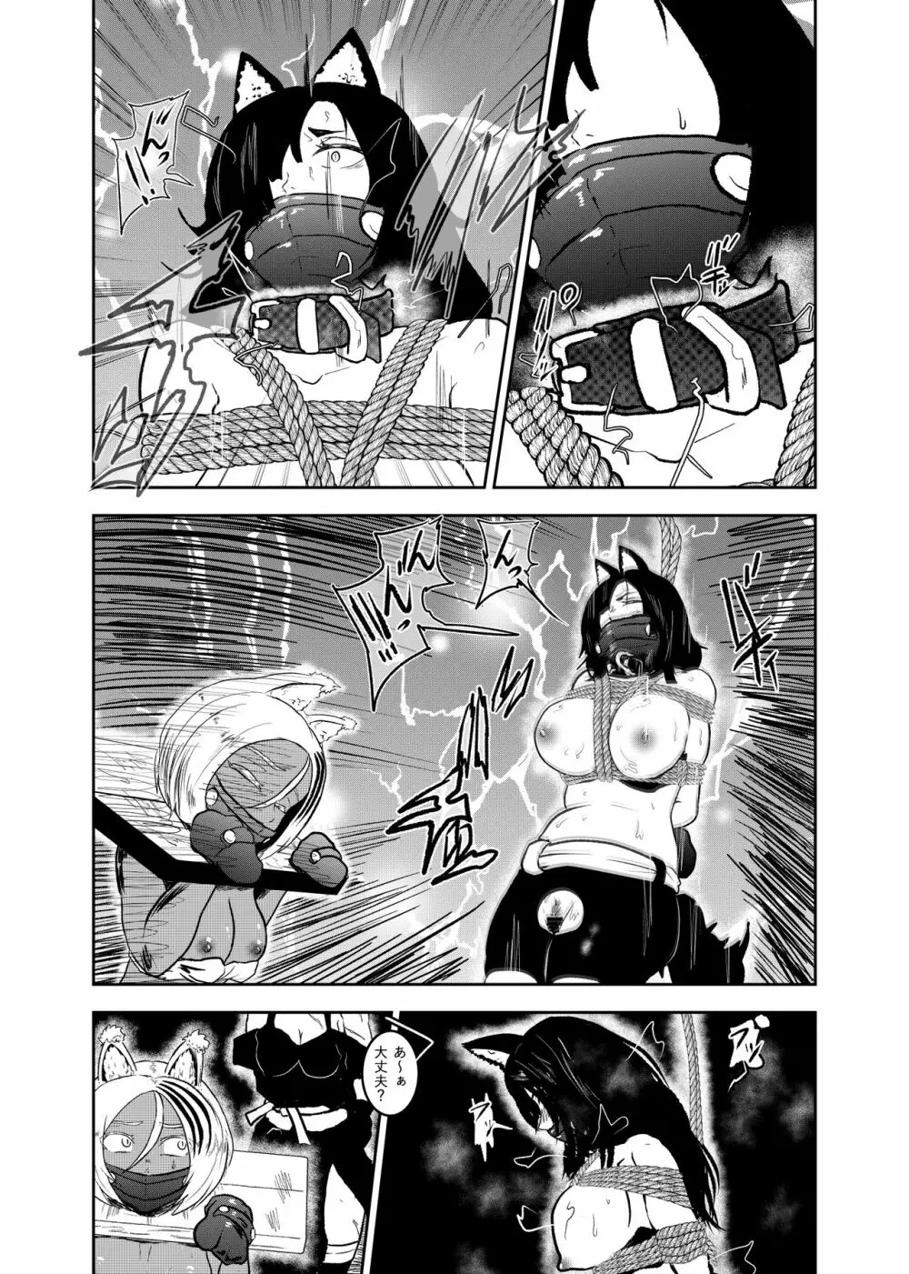 ヴァンパレイド8 ～白猫 黒狼 拘束編～ Page.10