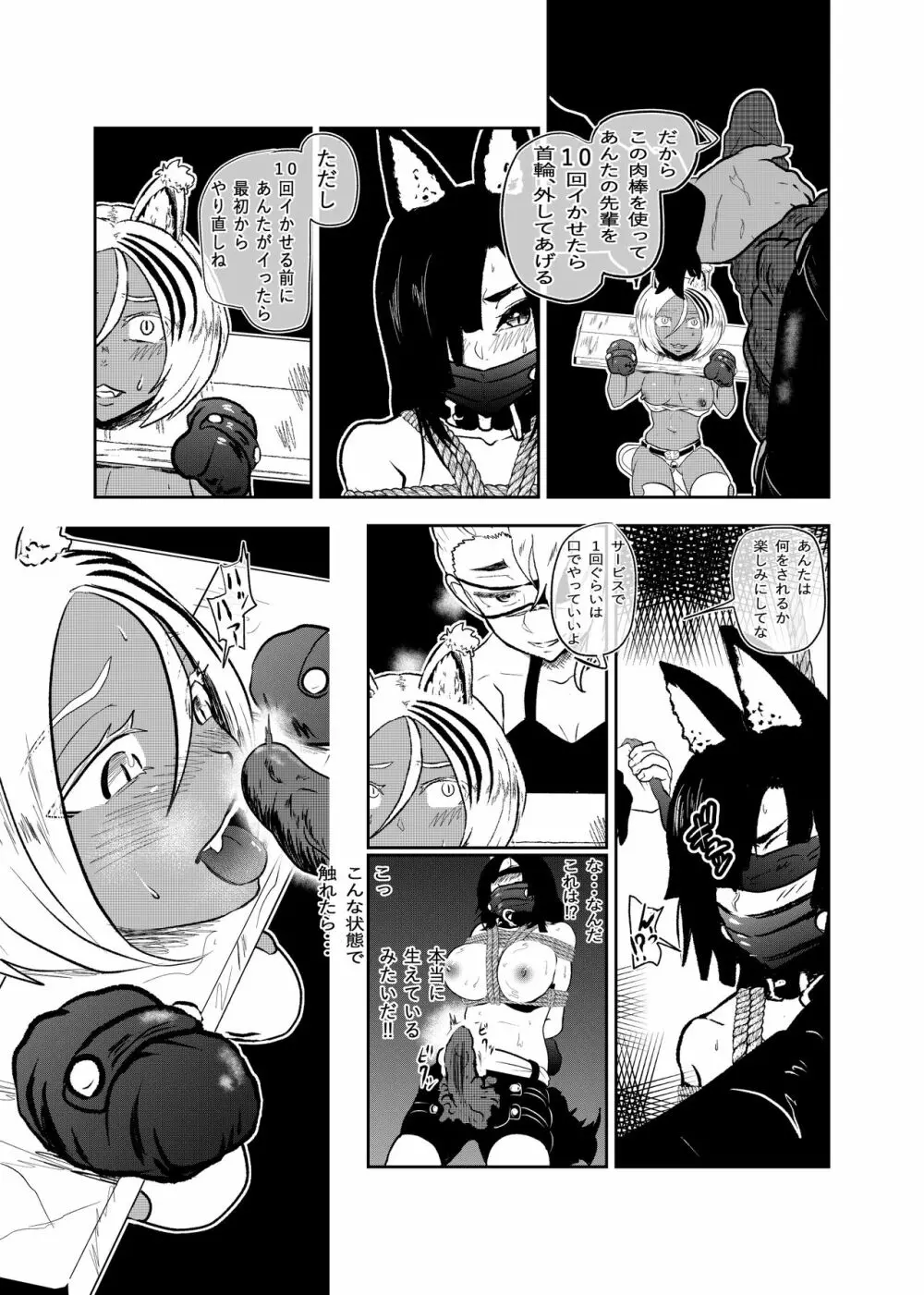 ヴァンパレイド8 ～白猫 黒狼 拘束編～ Page.13