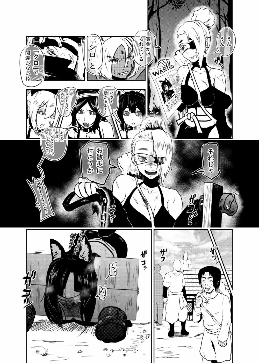 ヴァンパレイド7 ～白猫 黒狼 拘束編～ Page.11