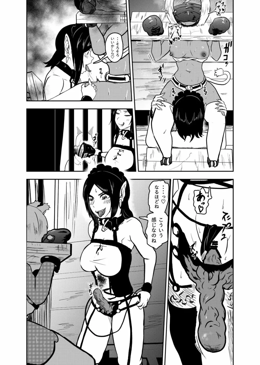 ヴァンパレイド7 ～白猫 黒狼 拘束編～ Page.19