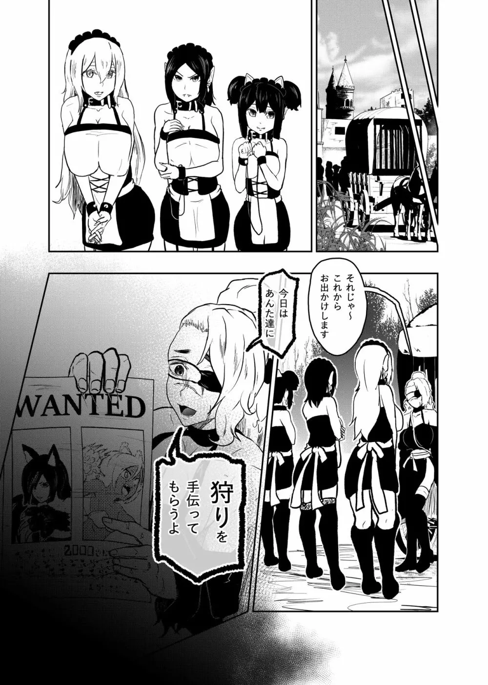 ヴァンパレイド6 ～吸血鬼 三姉妹 捕縛編～ Page.21