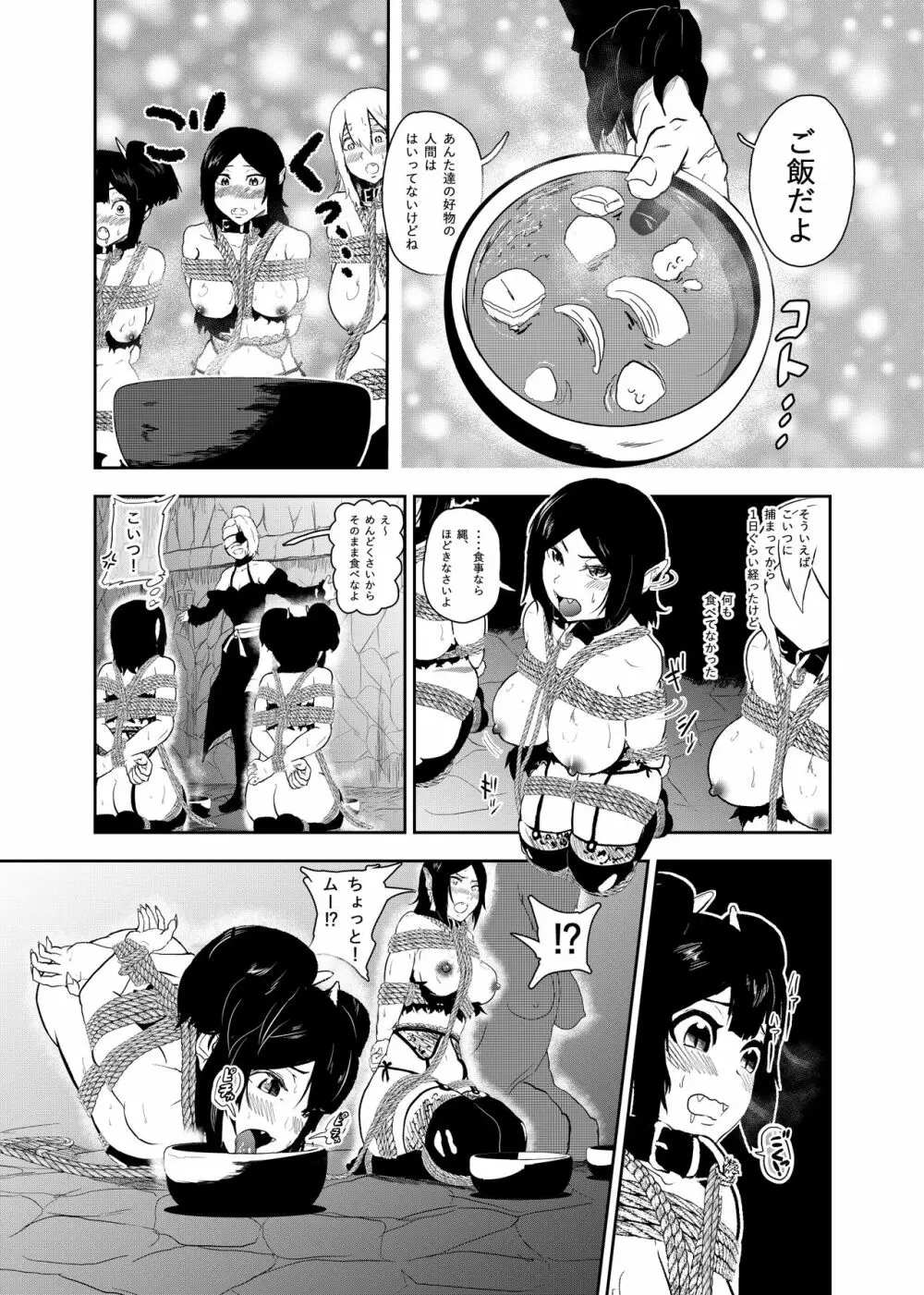ヴァンパレイド6 ～吸血鬼 三姉妹 捕縛編～ Page.5