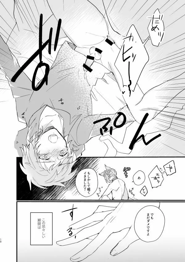 アドアステラ・インサニア Page.16