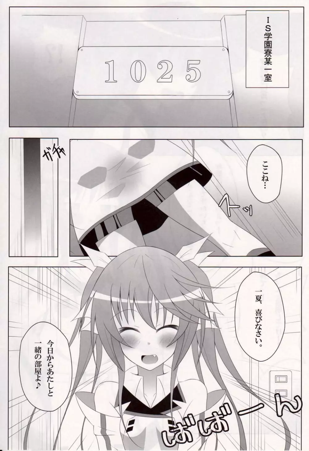 IS＜一夏、責任取りなさい!＞ SECOND Page.2