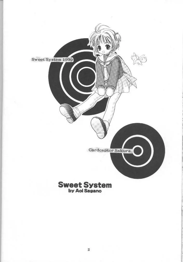Sewwt System Page.21