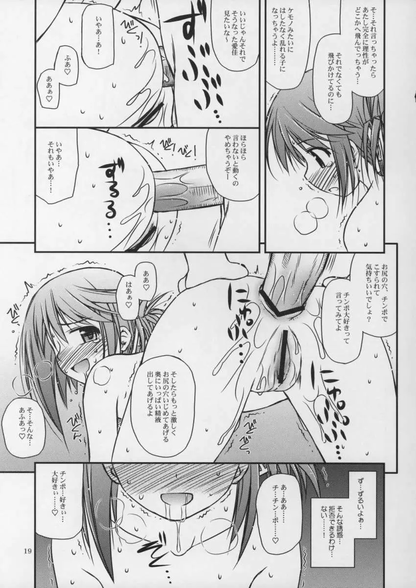 いいんちょの渇望 Page.18
