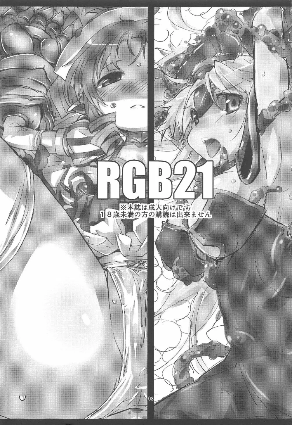 RGB21 Page.2