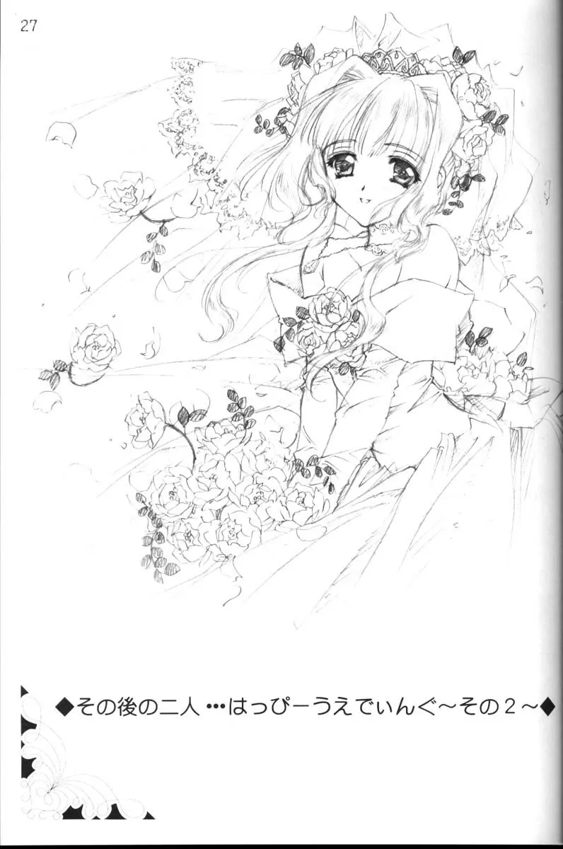 CARNELIAN vol.3 D～その景色の向こう側～ Page.28