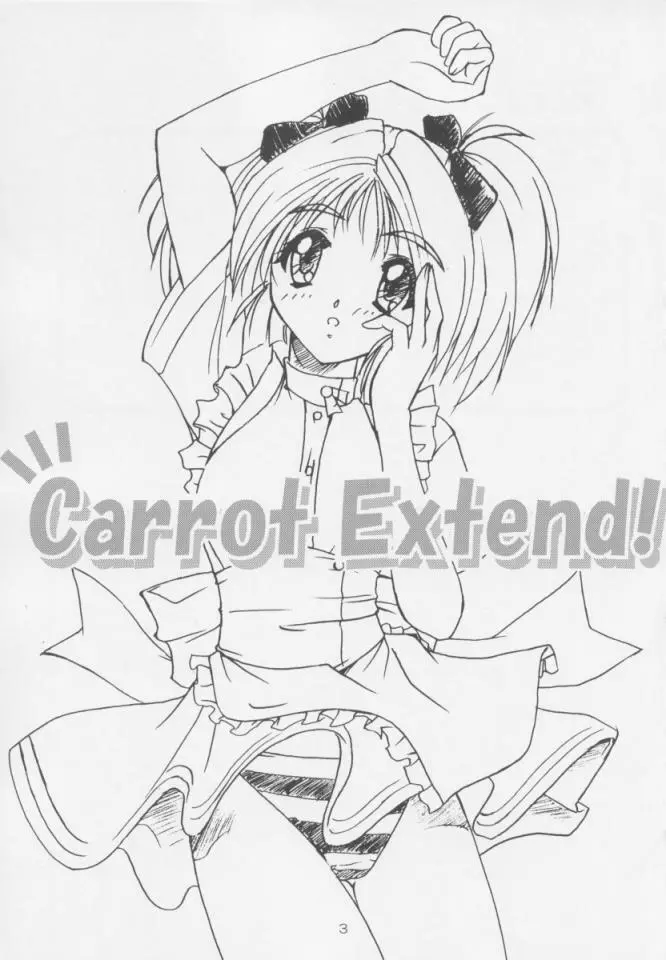 Carrot Extend! Page.2