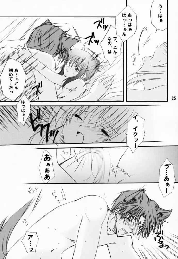 恋愛の教訓 V Page.24