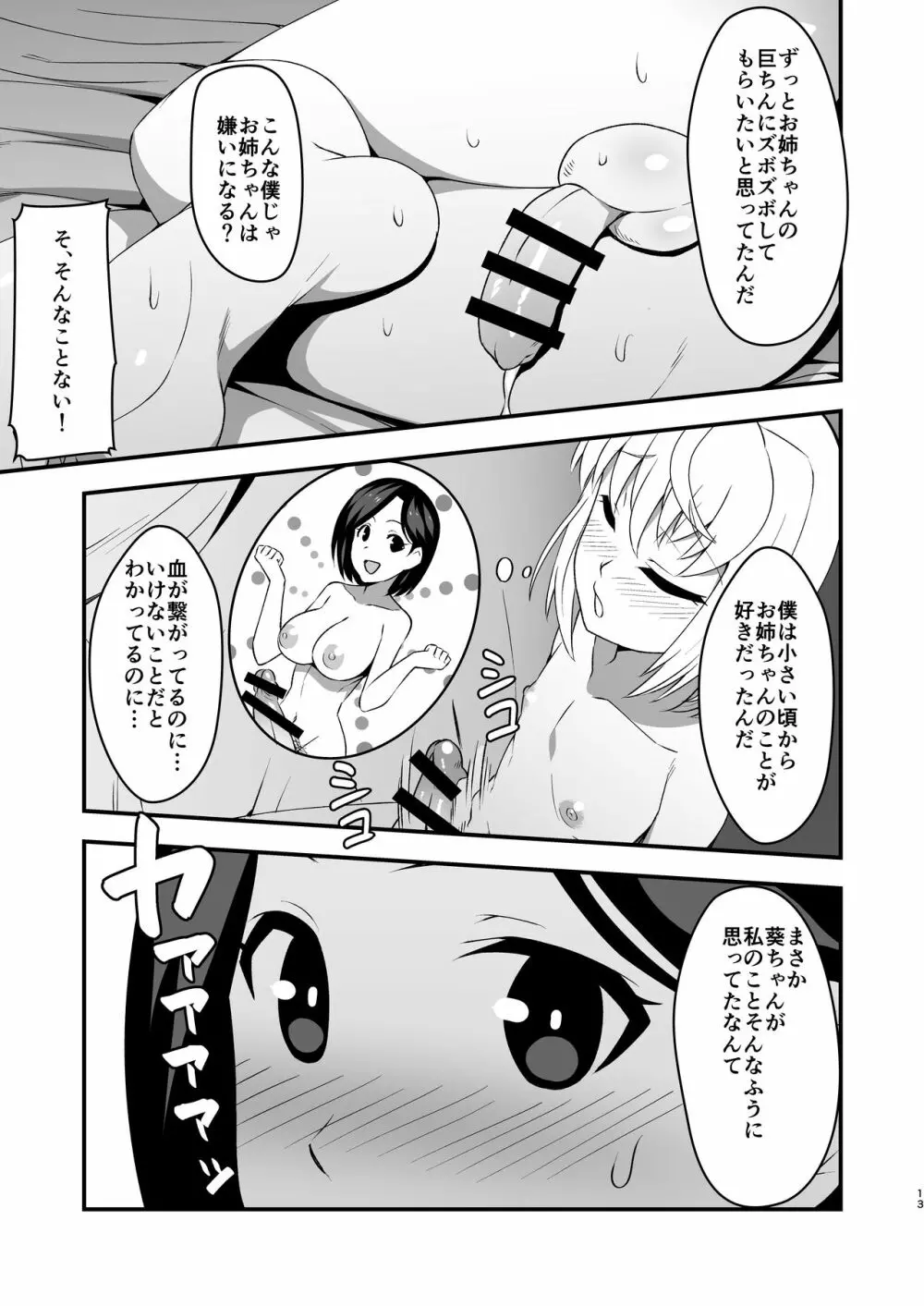 ふたなりお姉ちゃんと近親相姦 Page.12