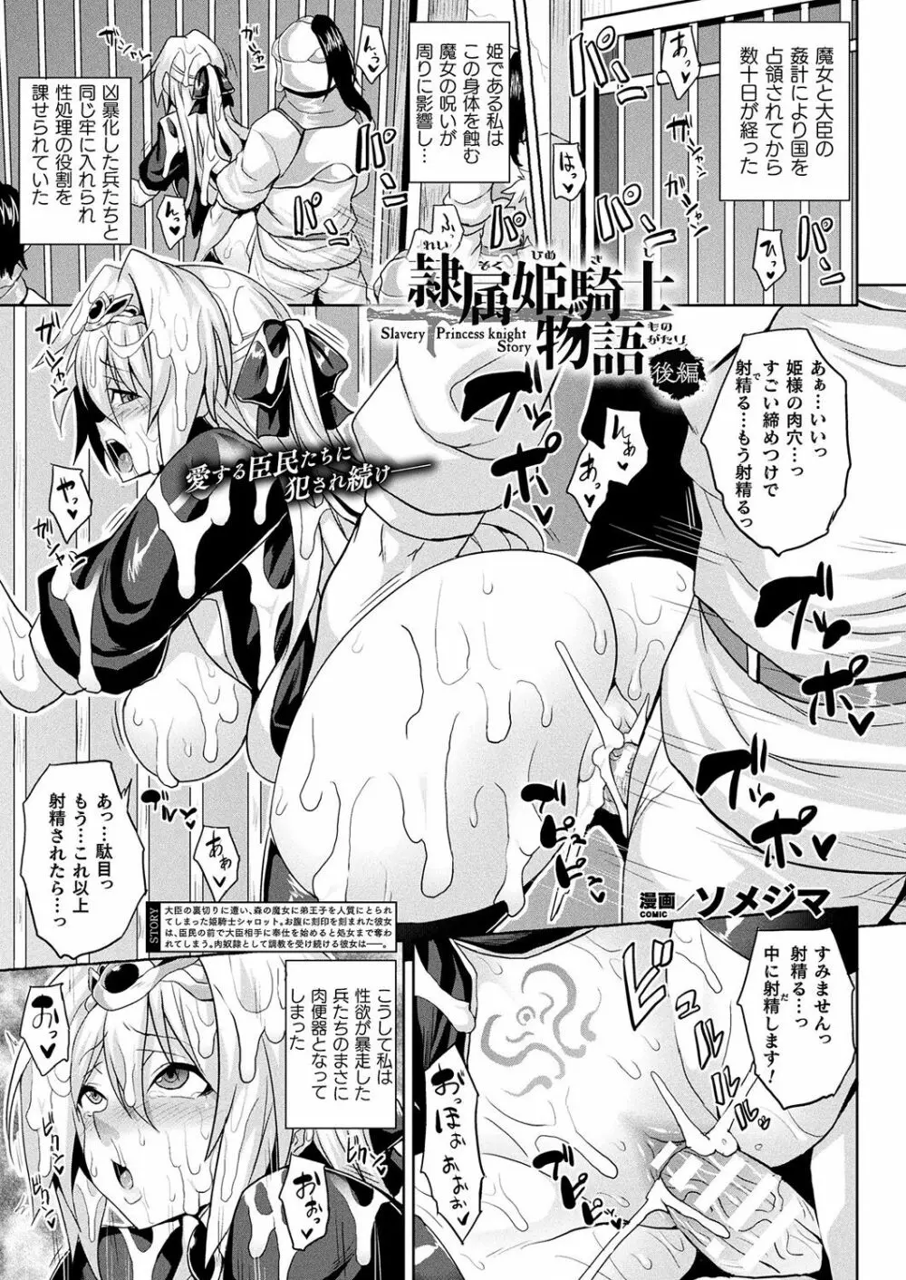 隷属姫騎士物語 幕間 Page.13