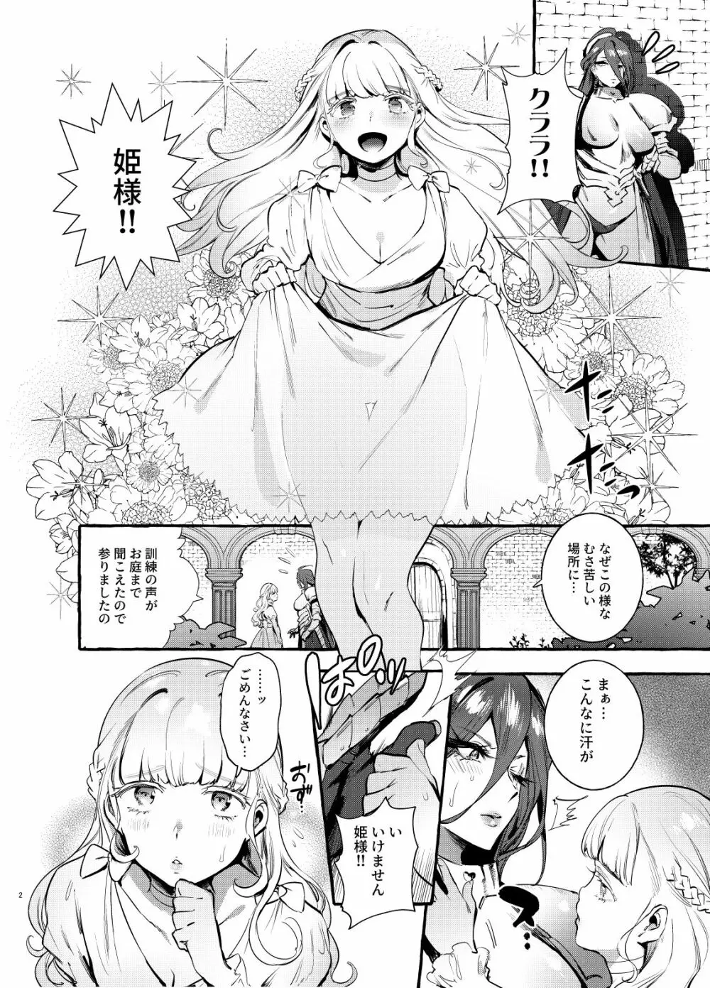 おちんぽ女騎士と処女姫 Page.3